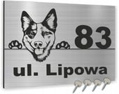 Tabliczka adresowa numer domu NAZWA ULICY 40x30 cm SZYLD NA DOM nazwa ulicy