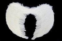 product-compare-64384875