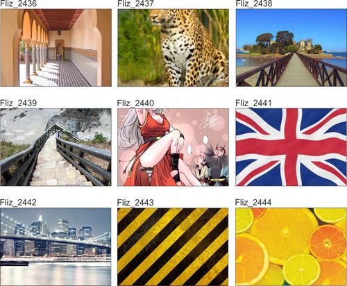 FOTOTAPETA CYTRYNY LIMONKI POMARAŃCZE 395x280 na Arena.pl