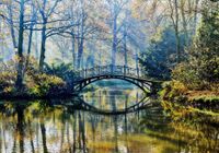 Fototapeta 3D WIDOK LAS WE MGLE MOST 390x280 FLIZ