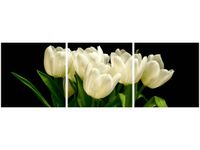 product-compare-58672571