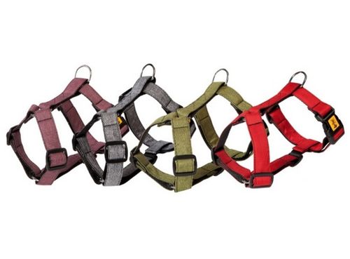 Dingo Szelki Guard dwupaskowe Scandi 2cm rozmiar S czerwone na Arena.pl