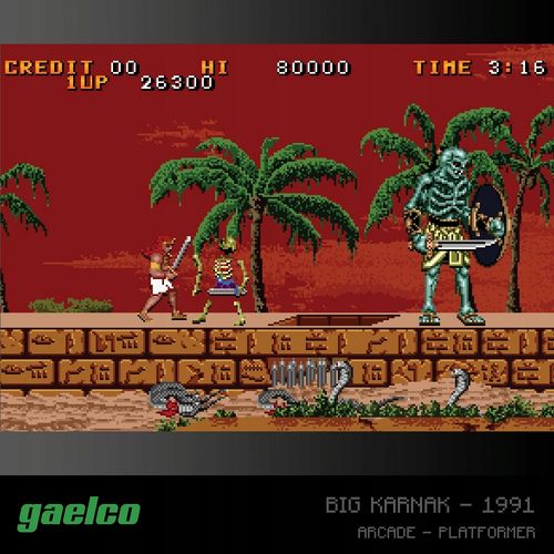 Gra Retro Evercade Gaelco Arcade 2 na Arena.pl