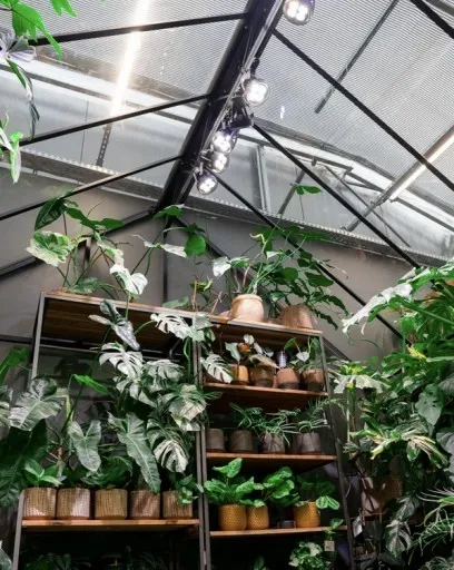 VERTICANA Żarówka do doświetlania roślin 35W czarna 45° oświetla z 2m zdjęcie 9