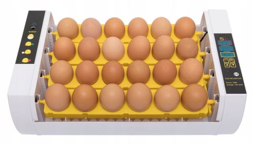 INKUBATOR KLUJNIK DO JAJ WYLĘGU DROBIU do 35 jajek na Arena.pl