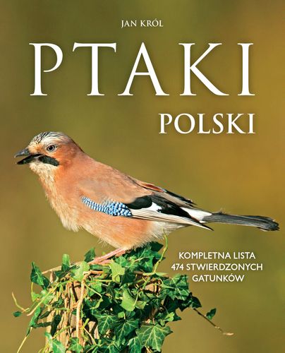 Ptaki Polski - Król Jan na Arena.pl