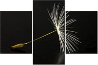 60 90CM OBRAZ 3 ELEM DMUCHAWCE LATAWCE ŚCIENNY DRUK PŁÓTNO