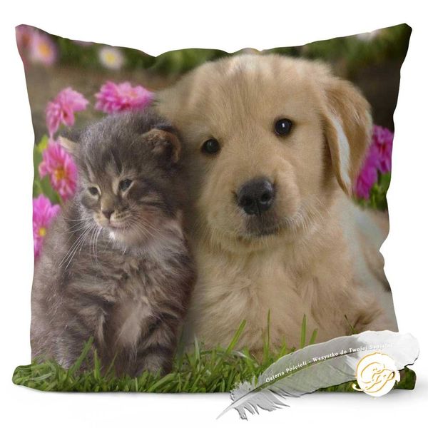 Poszewka 3D bawełna satyna 40x40cm JAK PIES Z KOTEM zdjęcie 1