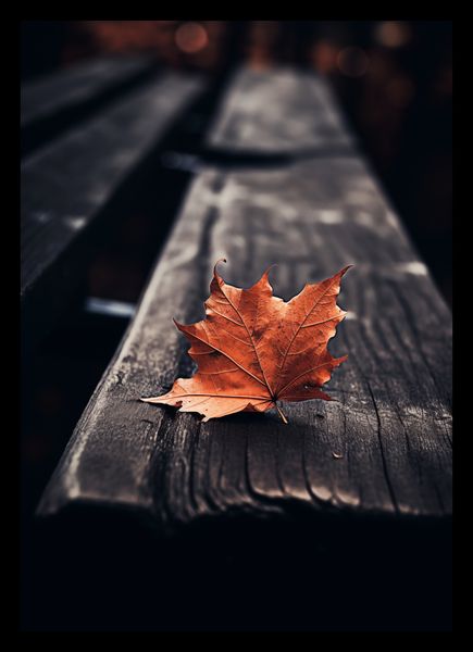 Plakat 21x29,7cm Pojedynczy Liść zdjęcie 2