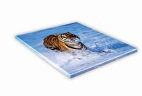 SZKLANA DESKA KUCHENNA 25x25 483e Tygrys