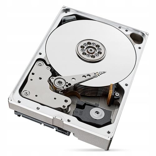 Dysk twardy Seagate SkyHawk Al 10TB SATA III 3,5" na Arena.pl