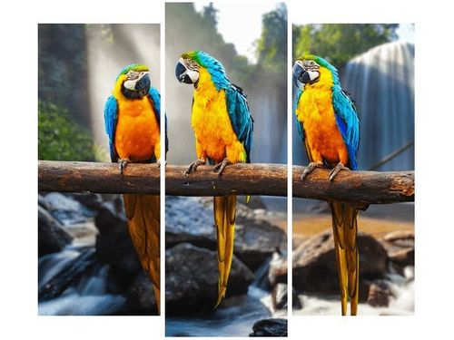 90 80CM OBRAZ T3 ELEM TRZY ARY DRUK ŚCIENNY na Arena.pl