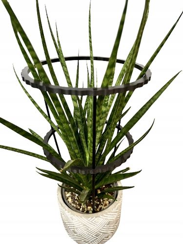 Podpórki do roślin kwiatów podpora pierścieniowa podpórka RINGS S33cm 16/18 na Arena.pl