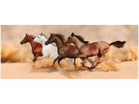 OBRAZ KONIE BIEGNĄCE GALOPEM