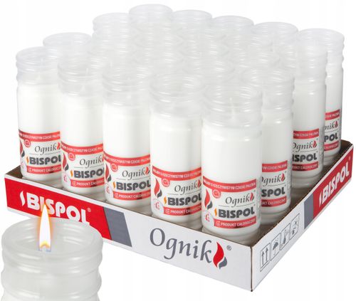 BISPOL - Wkład Zalewany Ognik WP4 - 24 szt. na Arena.pl