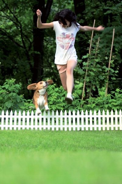 Płotek Palisada Ogrodowa 3,2m IPŁSU Brązowa zdjęcie 11