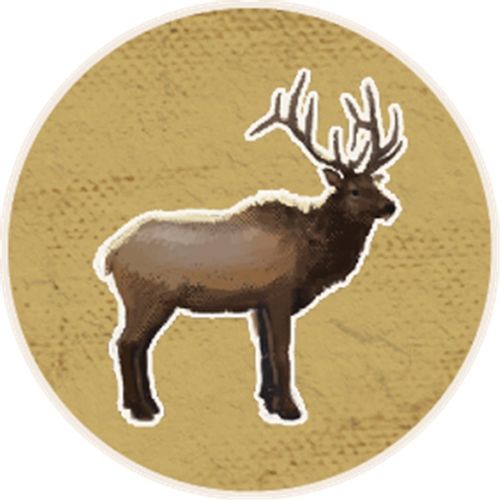 Gra Kaskadia Pomniki przyrody na Arena.pl