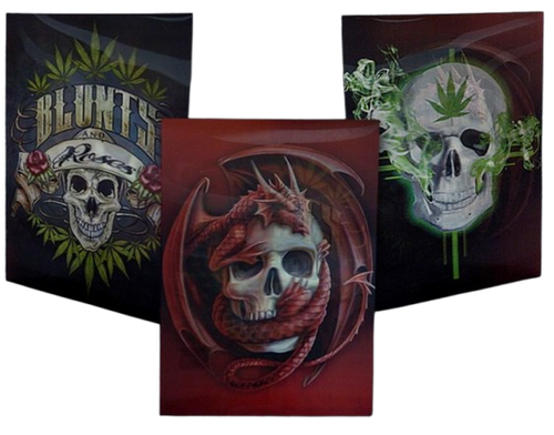 Obraz 3D Trójwymiarowy z Czachą z Ramką Plakat Lentikularny na Arena.pl