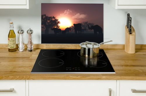 SZKLANA DESKA NA KUCHENKĘ 60x52 066A SŁONIE na Arena.pl