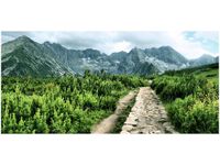 product-compare-58681377