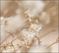 Tło do fotografii produktowej kulinarnej Flat Lay