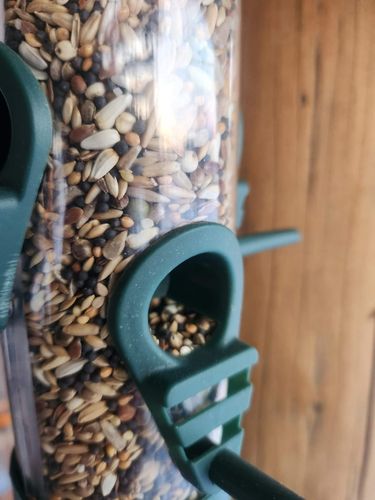 Karmnik dla ptaków na zimę na Arena.pl