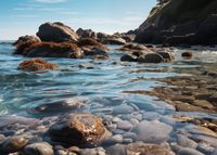 product-compare-59351807