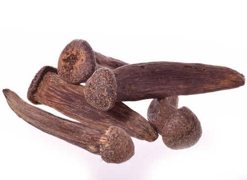 Gwoździe na Arena.pl