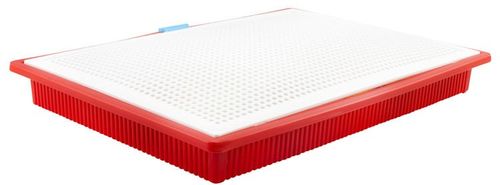 Układanka grzybki na Arena.pl