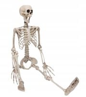 DEKORACJA WISZĄCA SZKIELETOR DUŻY KOŚCIOTRUP RUCHOMY SZKIELET