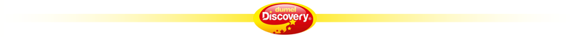 dumel-exost crossroad amazone te 20262 zdjęcie 7