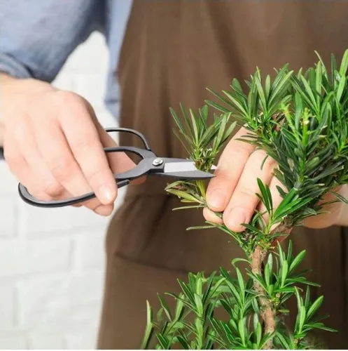 ZESTAW NARZĘDZI DO BONSAI na Arena.pl