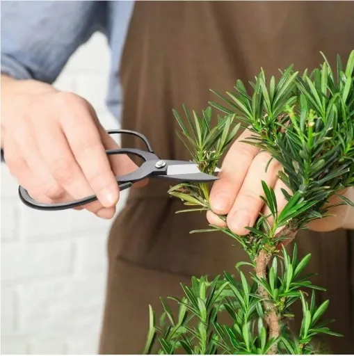 ZESTAW NARZĘDZI DO BONSAI zdjęcie 2