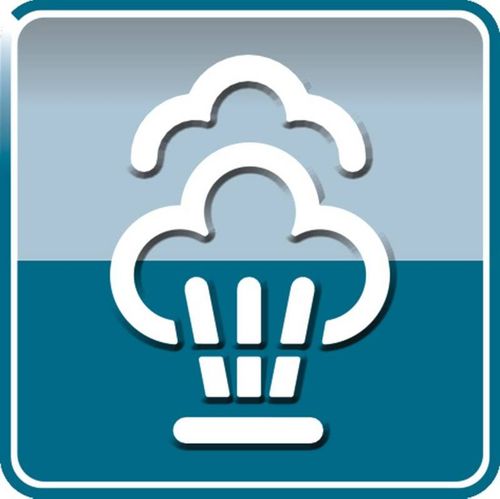 Żelazko Electrolux EDBS3350 Purpurowa na Arena.pl