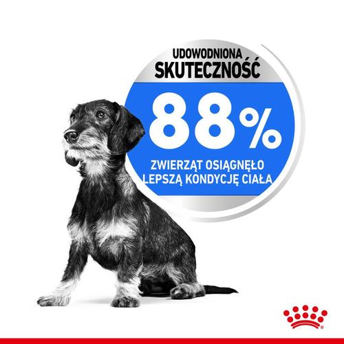 royal canin ccn mini light weight care 8kg na Arena.pl