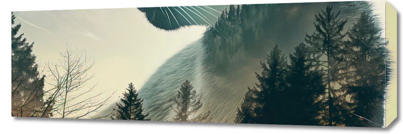 Obraz 90x30cm Koci Duch Lasu zdjęcie 1