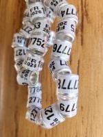 Obrączki 8mm dla gołębi 2026 r francuskie 10 sztuk