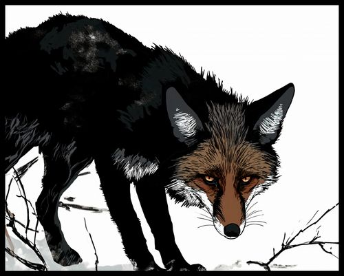 Plakat 76x60,5cm Nieufny Lis na Arena.pl