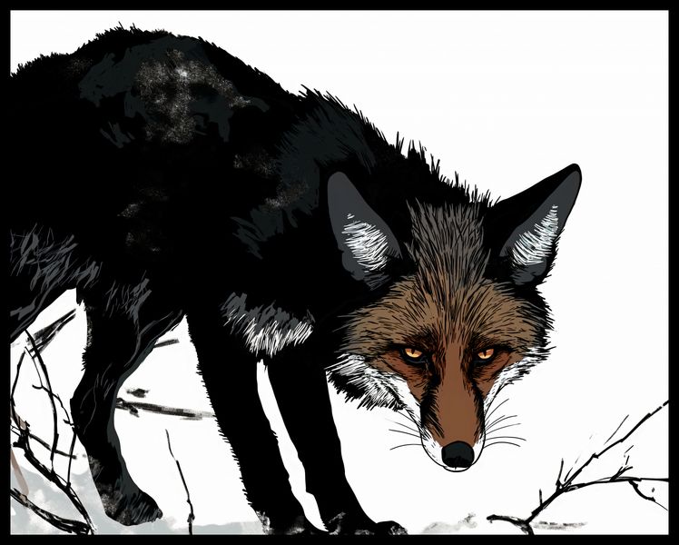 Plakat 76x60,5cm Nieufny Lis zdjęcie 2