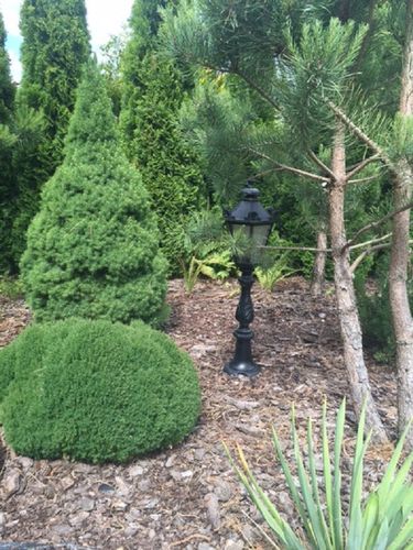 LAMPA ŻELIWNA STYLOWA OGRODOWA TARAS OŚWIETLENIE na Arena.pl