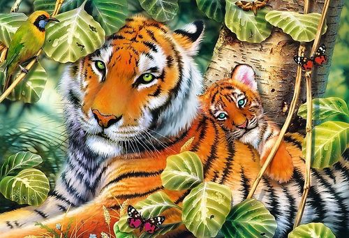 Puzzle 1500 elementów Dwa tygrysy na Arena.pl