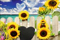 Tło PRODUKTOWE kulinarne Flat Lay na bloga insta