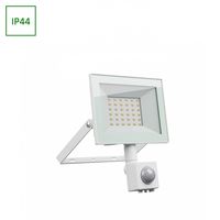 NOCTIS LUX 4 NAŚWIETLACZ 30W CW 230V IP44 141x185x53mm BIAŁY czujnik ruchu PIR