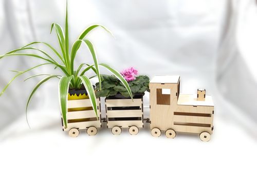 Ciuchcia z kwiatami na Arena.pl