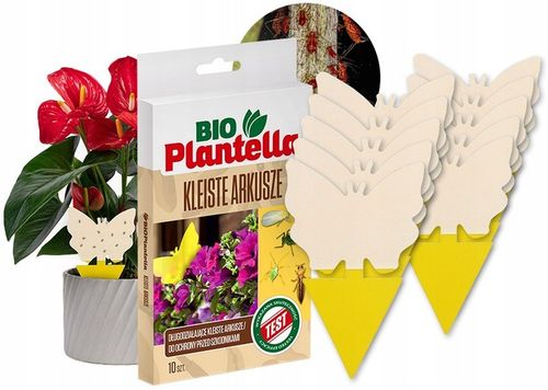 KLEISTE ARKUSZE LEP NA MSZYCE WCIORNIASTKI MĄCZNIAKI MUCHY INNE SZKODNIKI na Arena.pl