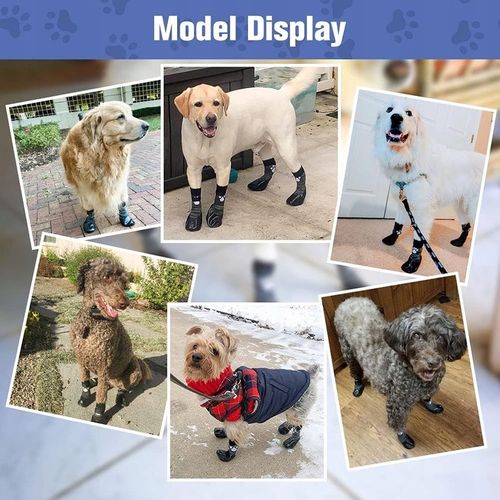 SKARPETY ANTYPOŚLIZGOWE DLA PSA ROZM. XXL na Arena.pl