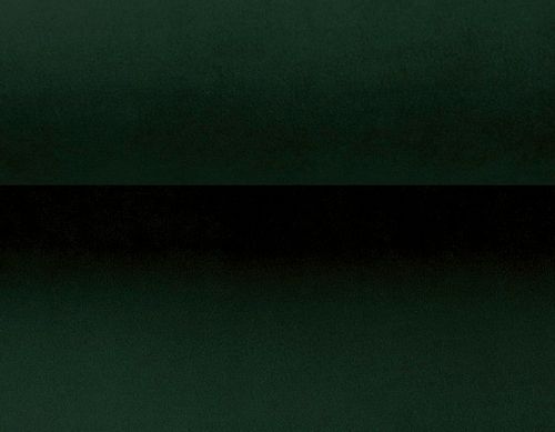 Fotel CAROL / zielony / noga buk / R38 na Arena.pl