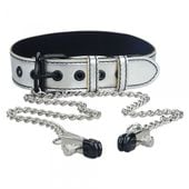 metallic silver collar with nipple clamp