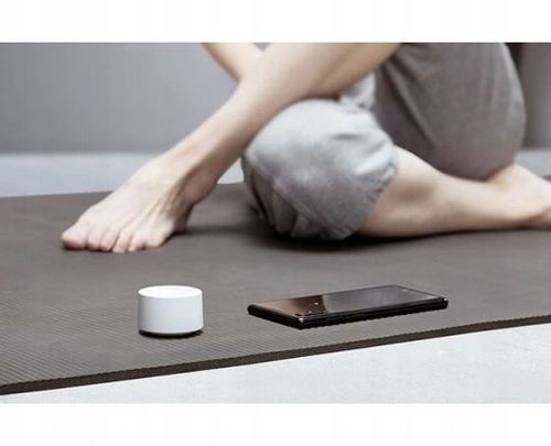 Głośnik Bluetooth Xiaomi Mi Compact Speaker 2 na Arena.pl