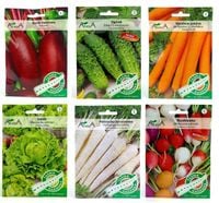 ZESTAW 2240 Sprawdzonych Nasion Warzyw na taśmie